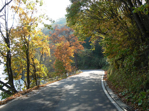 b0068572_64559.jpg