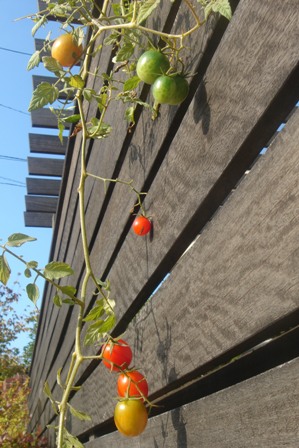 c0135480_0343820.jpg