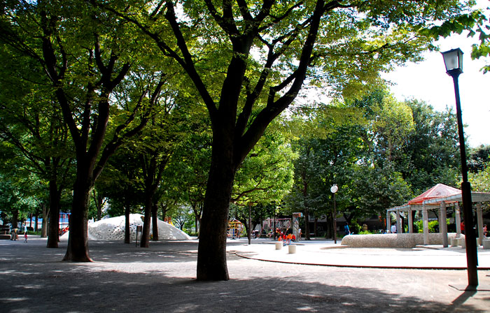 「2008神楽坂」白銀公園にて.._c0009981_3213390.jpg