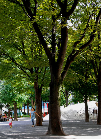 「2008神楽坂」白銀公園にて.._c0009981_32135.jpg