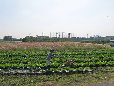 c0145581_224735.jpg