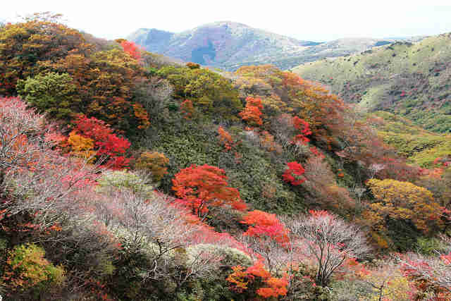 f0082181_17438.jpg
