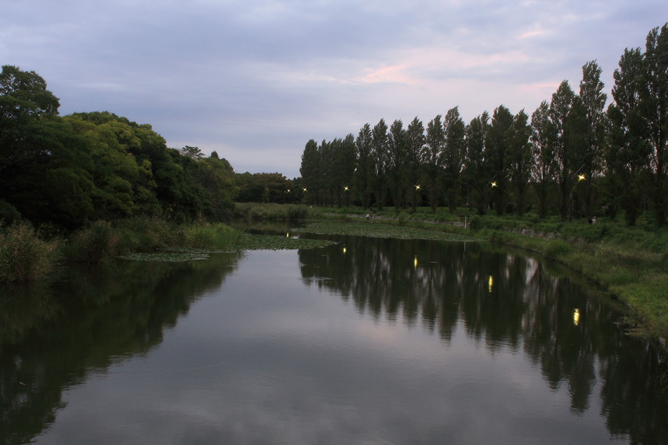 水元公園_e0151188_1615798.jpg