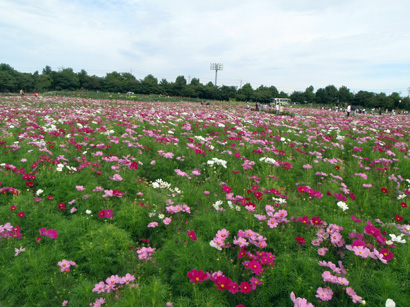 なばなの里_c0018489_22533298.jpg