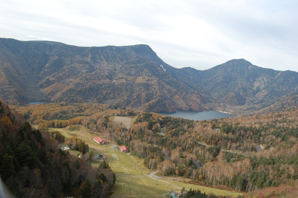 d0153294_2015397.jpg