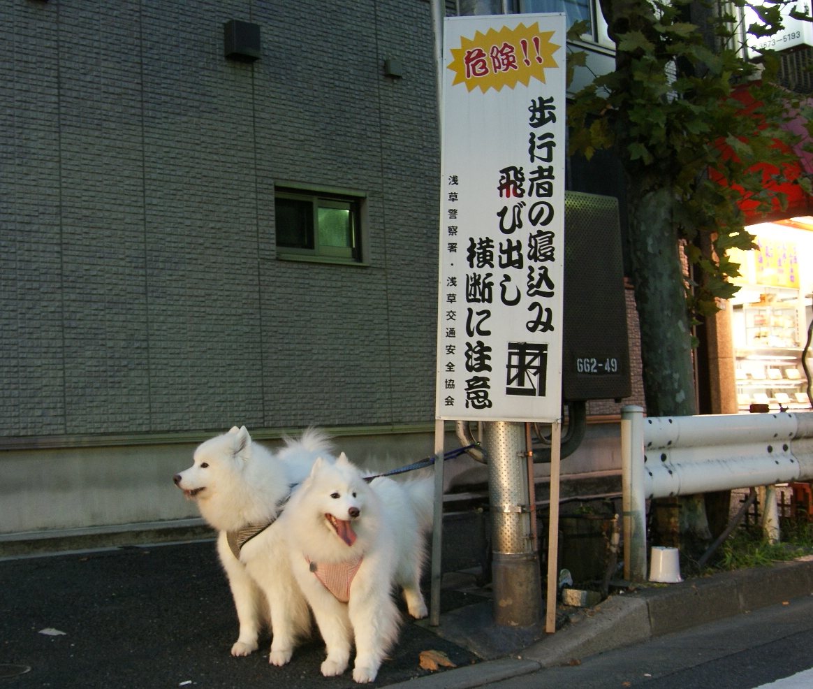 e0057295_1722126.jpg