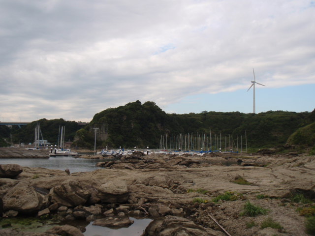c0008598_1653599.jpg