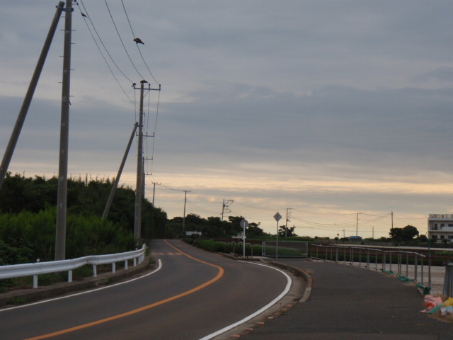 c0008598_1657454.jpg