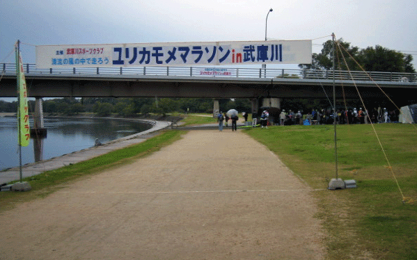 b0108100_20542424.gif
