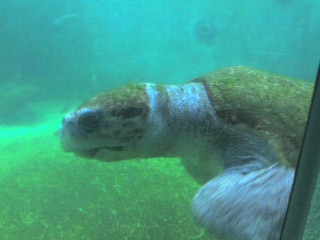 c0131901_1926389.jpg