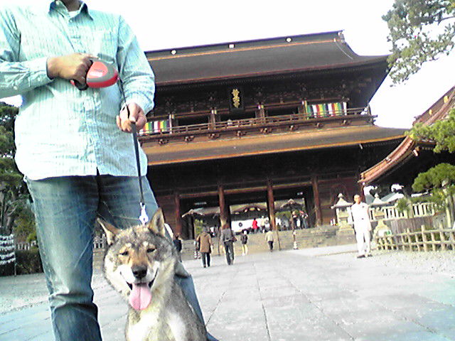 f0079202_1812821.jpg