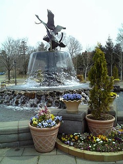 f0147602_12382094.jpg