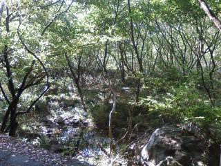f0147604_13591981.jpg