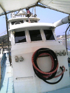 c0170905_10511972.jpg