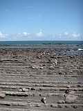 4県横断!!_b0078006_95981.jpg