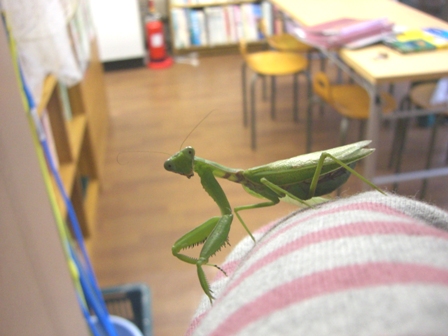 はじめてのお客様_b0049307_1113663.jpg