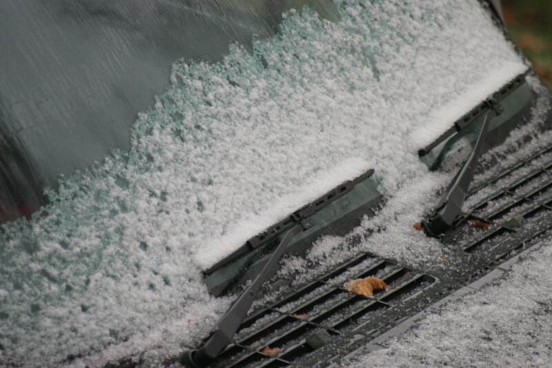 初雪???_d0070814_7503554.jpg