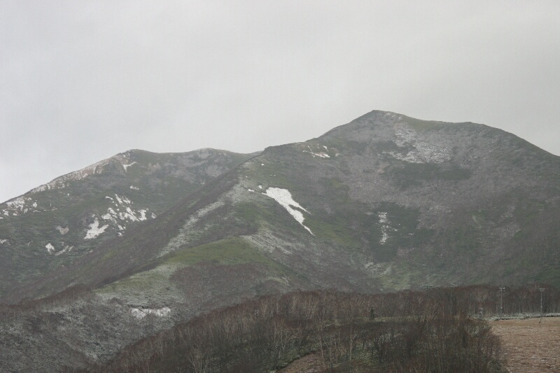 初雪???_d0070814_7533272.jpg