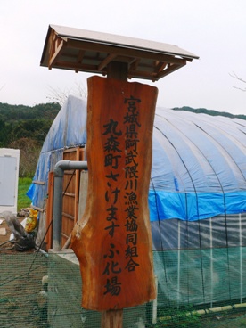e0097615_1923051.jpg