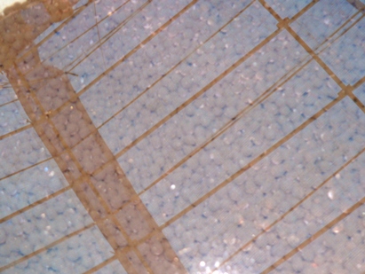 e0097615_19231611.jpg