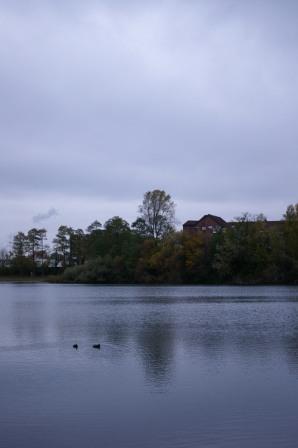b0148617_3444231.jpg
