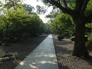 f0142717_07141.jpg