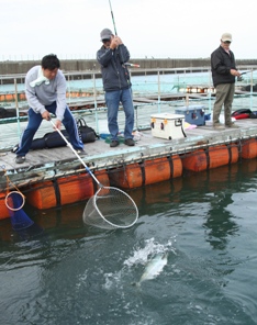 和歌山田辺の海上釣り堀 釣り道場 お気楽釣り日誌 和歌山田辺の海上釣り堀 釣り道場 お気楽釣り日誌