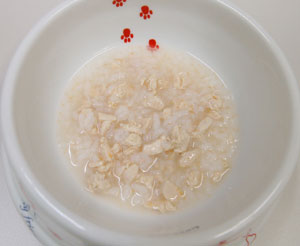 モモごはん　１０月２６日_d0102523_0355796.jpg