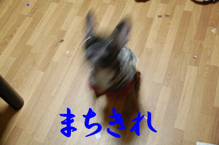 おくらばせながら・・・_c0130324_22433077.jpg