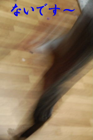 c0130324_2244588.jpg