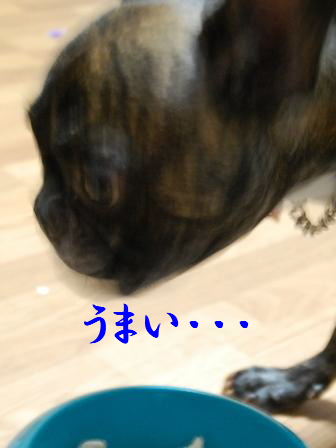 c0130324_2314845.jpg