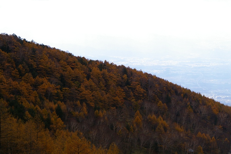 晩秋の高峰高原_e0136424_18143455.jpg