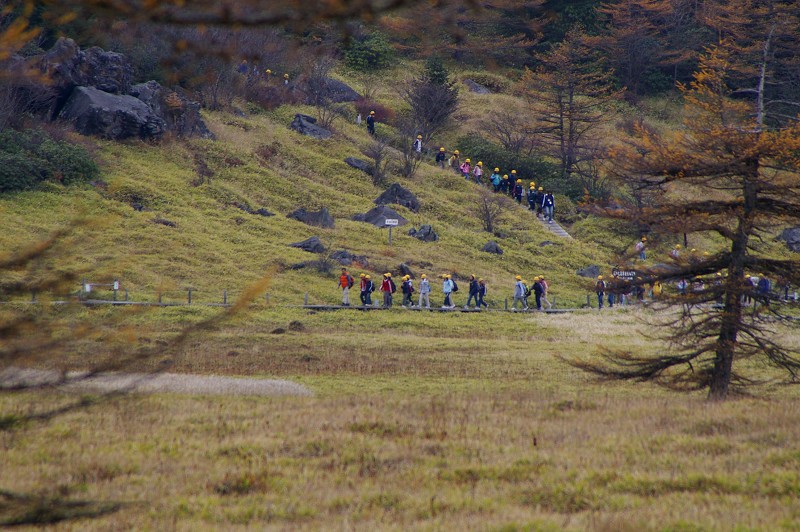 晩秋の高峰高原_e0136424_2123358.jpg