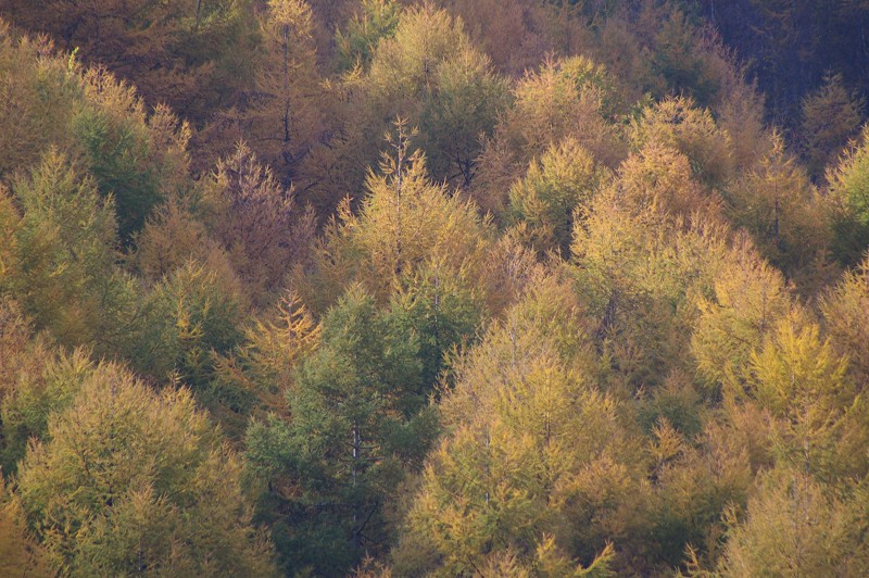 e0136424_21423510.jpg