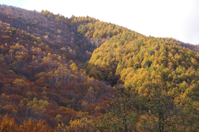 晩秋の高峰高原_e0136424_21435133.jpg