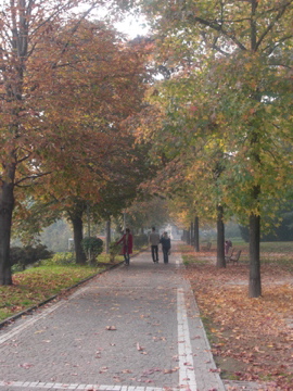 f0173324_21373841.jpg