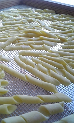 パスタ教室~サーニェ_c0141025_14383083.jpg