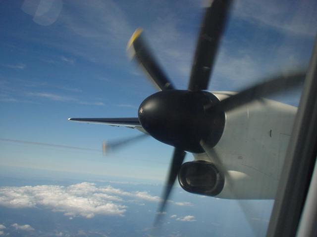 d0004627_21495310.jpg