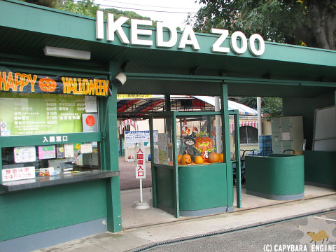 f0138828_20401648.jpg