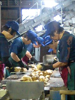 アミュ広場鹿児島フリーライブ&枕崎薩摩白波イベント!_f0056929_0581110.jpg
