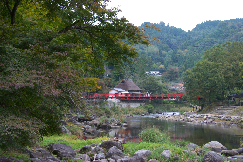 b0046431_21133099.jpg