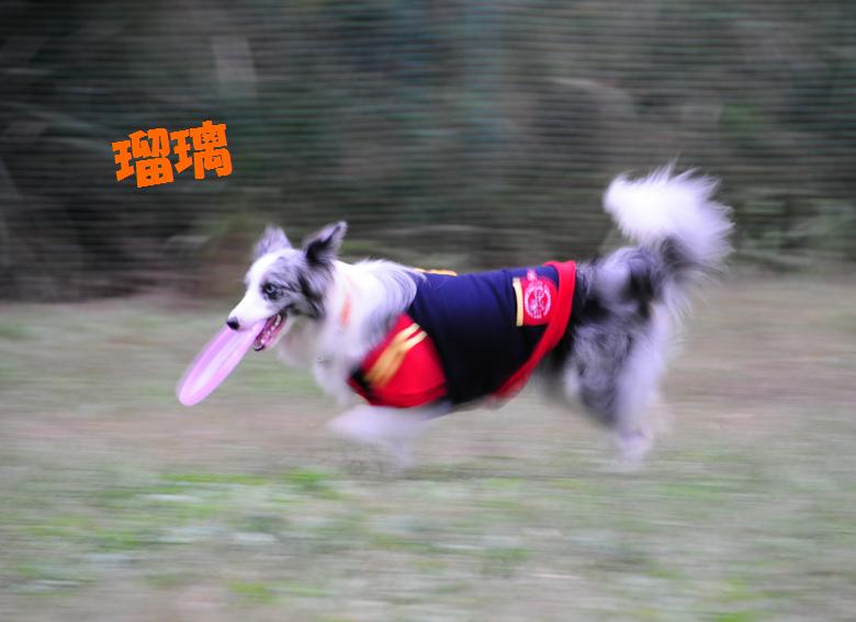 c0147241_10235149.jpg
