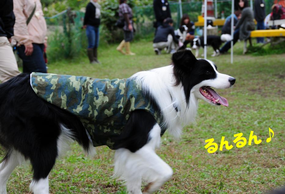 c0147241_1023880.jpg