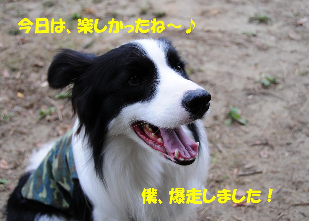 c0147241_11591625.jpg