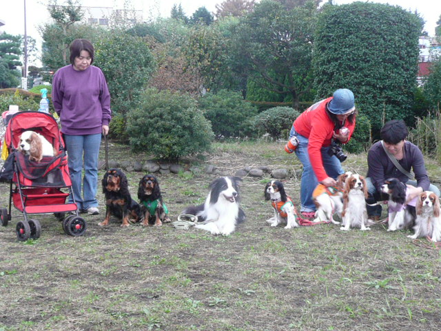 まちだ動物愛護のつどい_e0115541_12504786.jpg