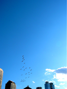 a0087045_10113029.jpg