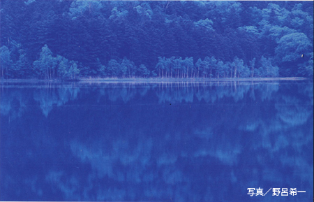 野呂希一さん写真展「木の色・水の色・日本の色」_c0142549_152123.jpg