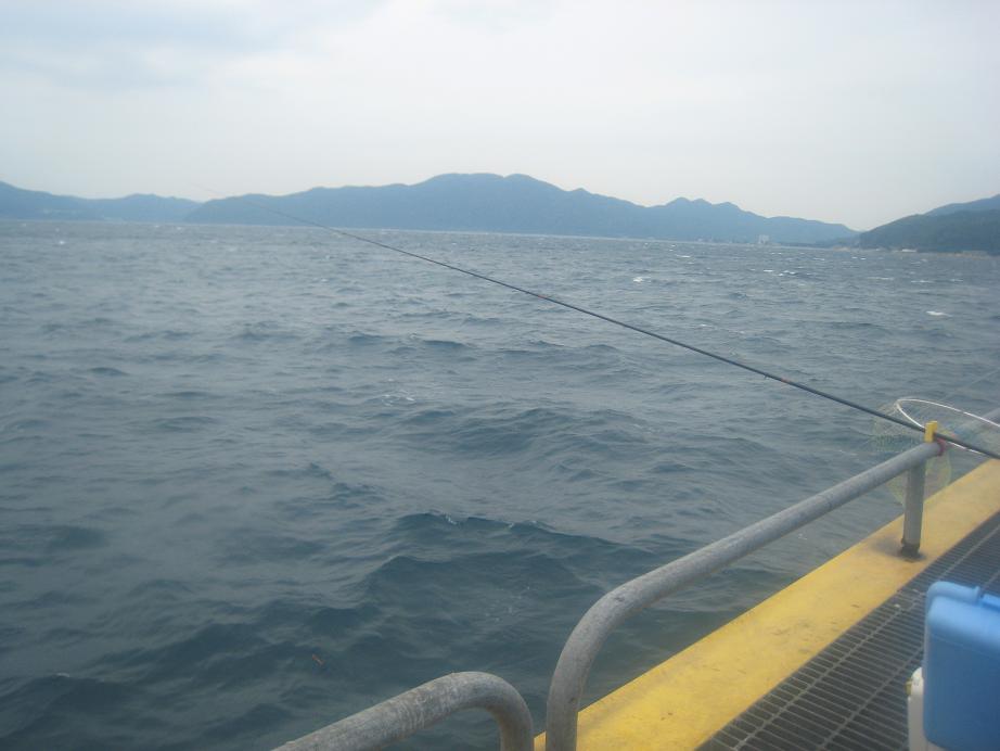 d0058351_2058331.jpg