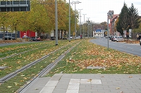 e0134052_4385547.jpg