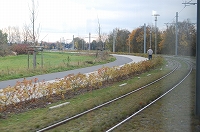 e0134052_4393556.jpg